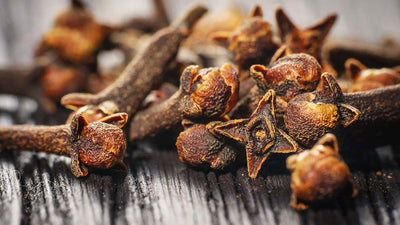 Clove Extract