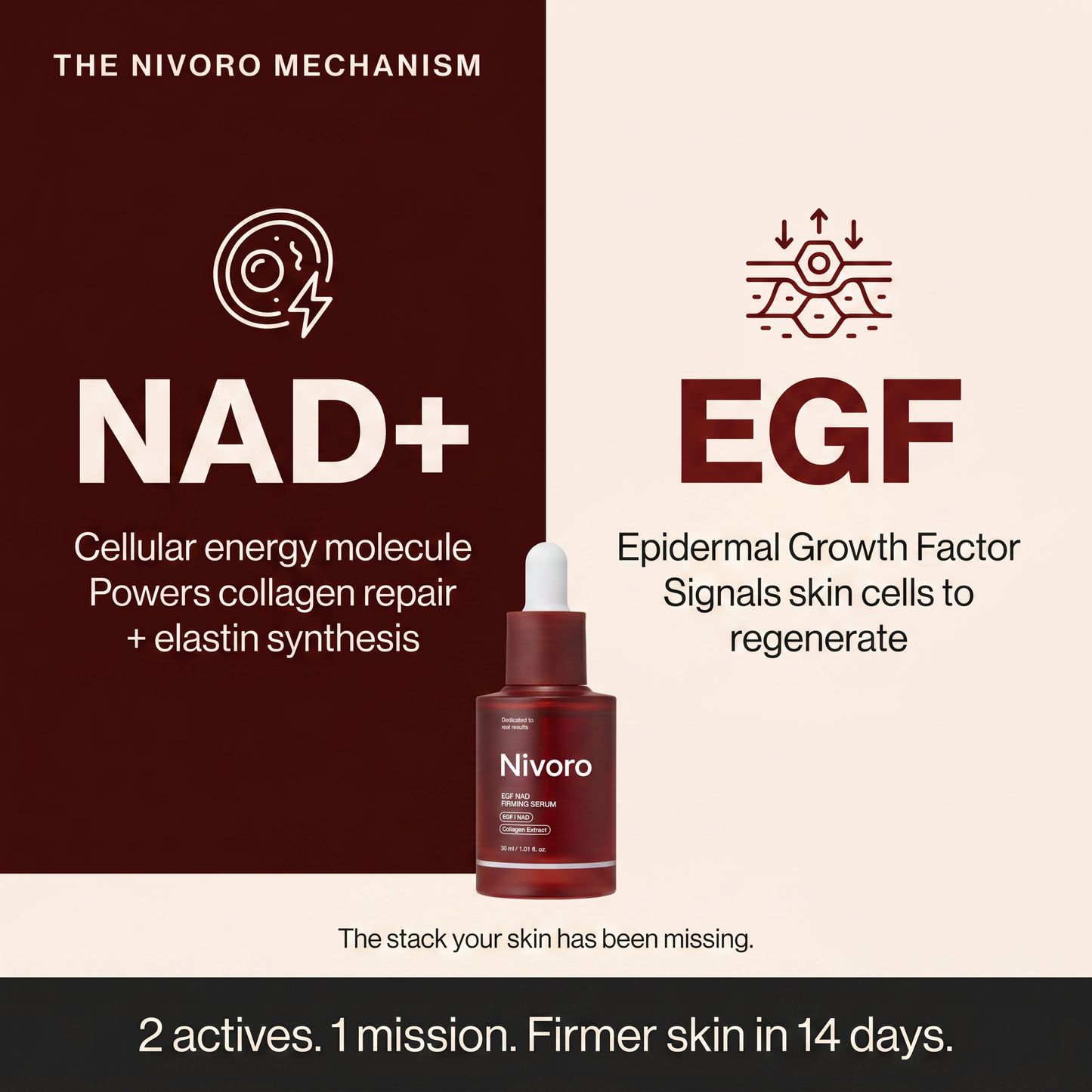 Nivoro™ - NAD Firming Serum